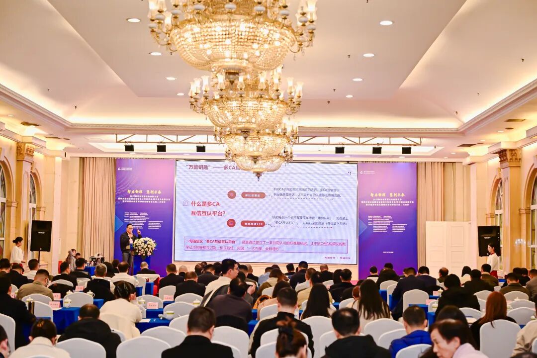 1765440804076017978.jpg 03.jpg